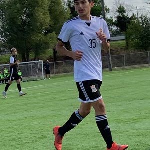 Meet your Posher, Henry